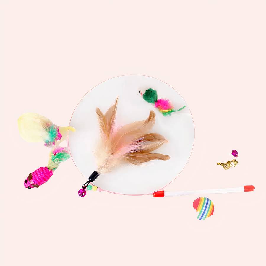 850-dprshn.jpg Jouet à plume 12 pièces pour chat et chaton