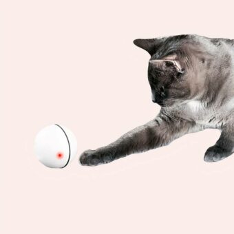Jouet balle rechargeable par Usb pour chat joué par un chat dans une maison