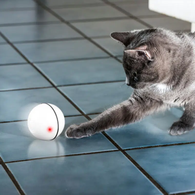 Jouet balle rechargeable par Usb pour chat joué par un chat dans une maison