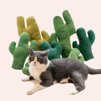 Jouet cactus en peluche pour chat plusieurs couleurs avec un chat en devant