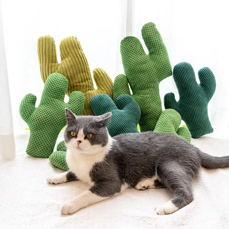 Jouet cactus en peluche pour chat plusieurs couleurs avec un chat en devant