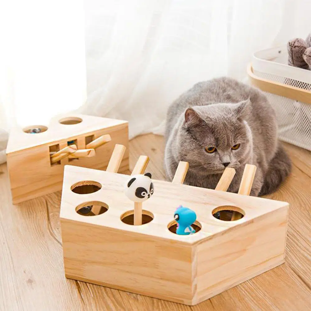 Jouet en bois magique pour chat avec un chat dans une maison