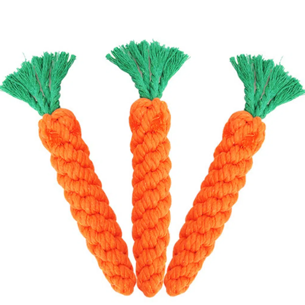 Jouet en forme de carotte pour chat orange et vert