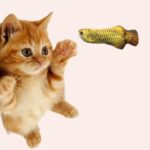 Jouet en peluche en forme de poisson pour chat avec un chat