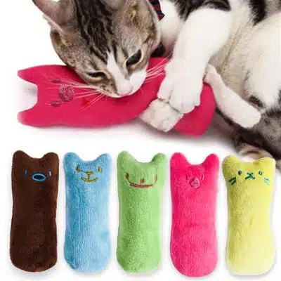 Jouet en peluche garni d'herbe pour chat plusieurs couleurs jouets par un chat