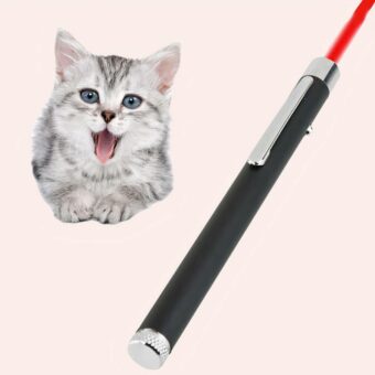 Jouet pointeur laser pour chat noir et blanc
