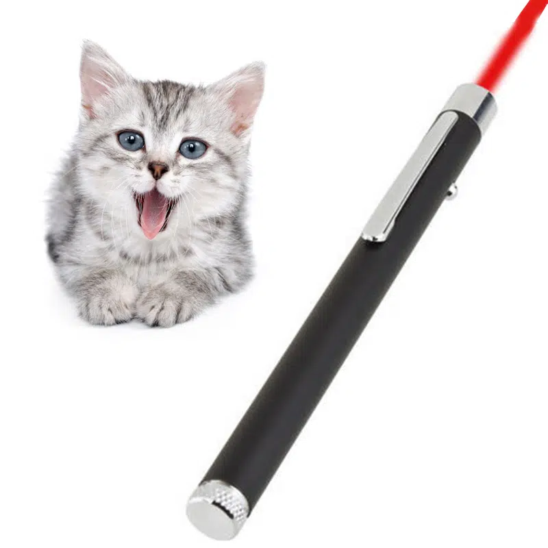 Jouet pour chat pointeur laser