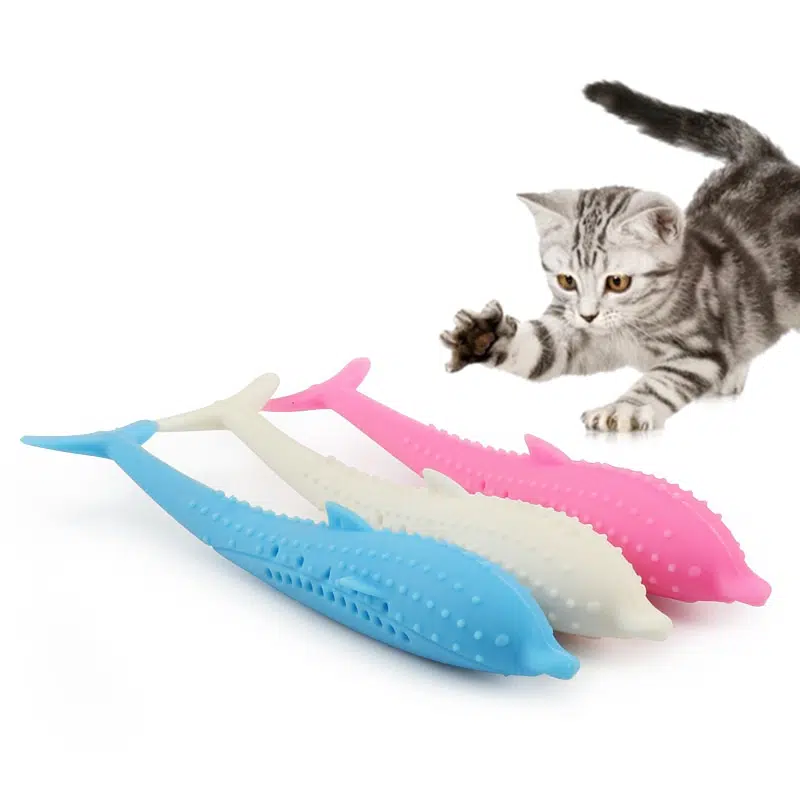 Jouet poisson à mâcher pour chat plusieurs couleurs avec un chat