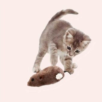 Souris en peluche à ressort pour chats jouer par un chat