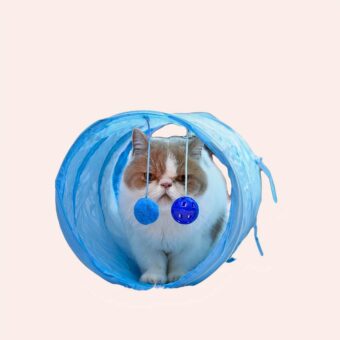 Tunnel pliable à clochette bleue pour chat avec un chat à l'intérieur dans une maison