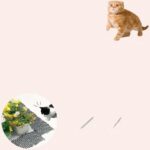 10 pièces de bande pichet de noirjardin répulsive chat