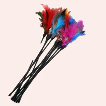 5 pièces de bâton noir en plume pour chat multicolore
