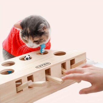 Jouet interactif en bois pour chat