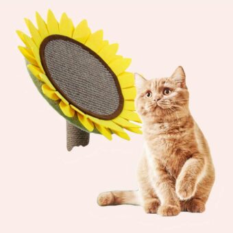 Arbre à chat en forme de tournesol très tendance avec un chat