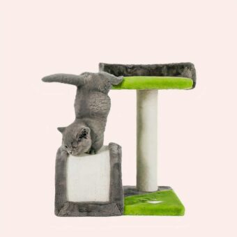 Arbre à gratter amusant vert et blanc en tendance