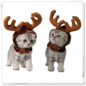 Bandeau de Noël en forme de renne pour chat, confortable à la mode