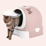 Bassin de litière entièrement fermé pour chat rose, confortable, très haute qualité