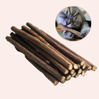 Bâtonnet de dentifrice pour chat en bois