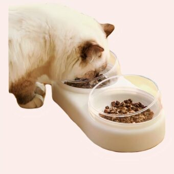 Bol chat double complet vert avec fontaine à eau couleur unie