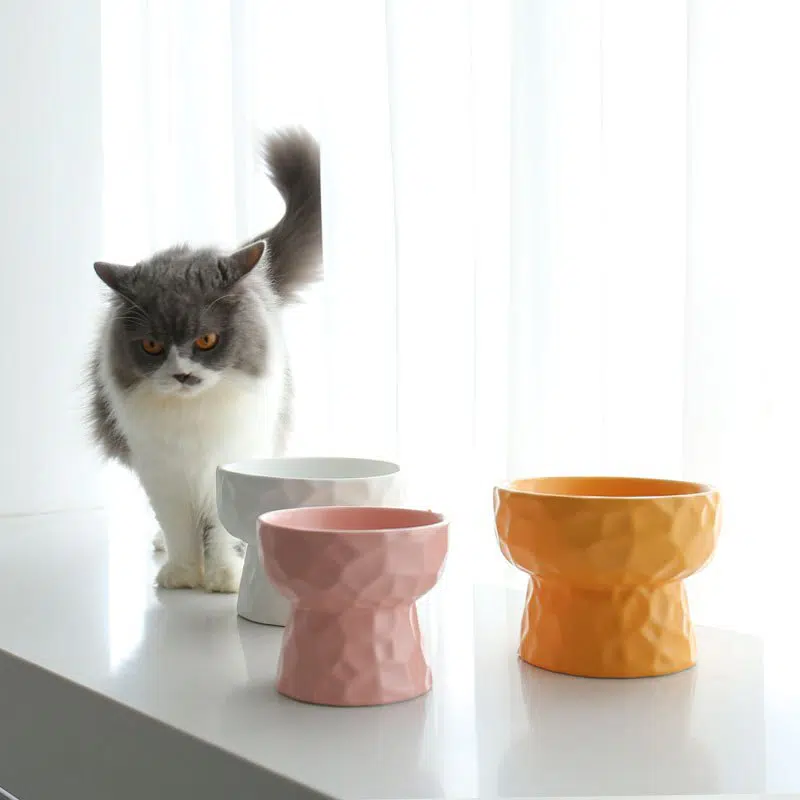 Bol en céramique en forme de coupe pour chat, tendance, haute qualité en plusieurs couleurs