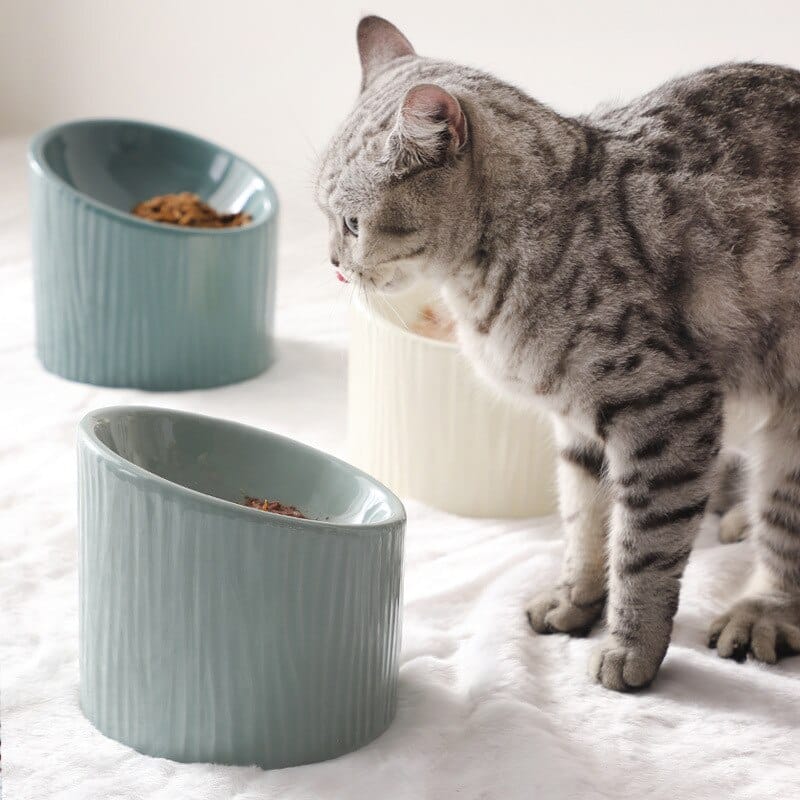 Bol incliné antidérapant en céramique pour chat très confortable sur un tapis dans une maison
