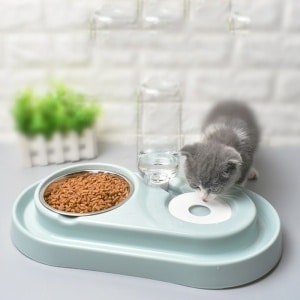 Bol pour chat avec distributeur d'eau automatique vert. Bonne qualité et à la mode,