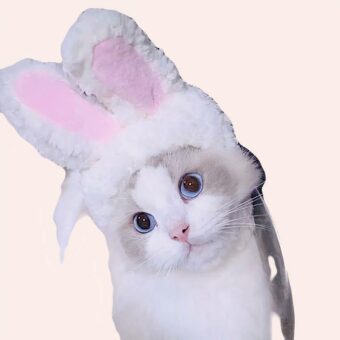 Bonnet chat blanc avec oreille de lapin à la mode portée par un chat