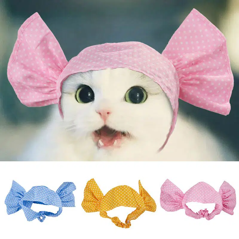 Bonnet chat en forme de bonbon à plusieurs couleurs à la mode