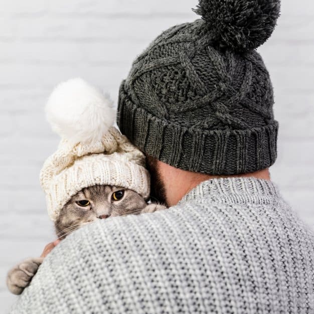 en forme de banane pour chat — free download