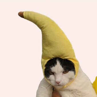 Bonnet en forme de banane pour chat jaune porté par un chat à la mode