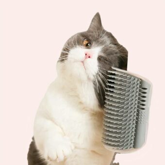 Brosse chat amovible couleur unie avec un chat