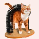 Brosse chat pour entrainement en bois