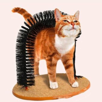 Brosse chat pour entrainement en bois