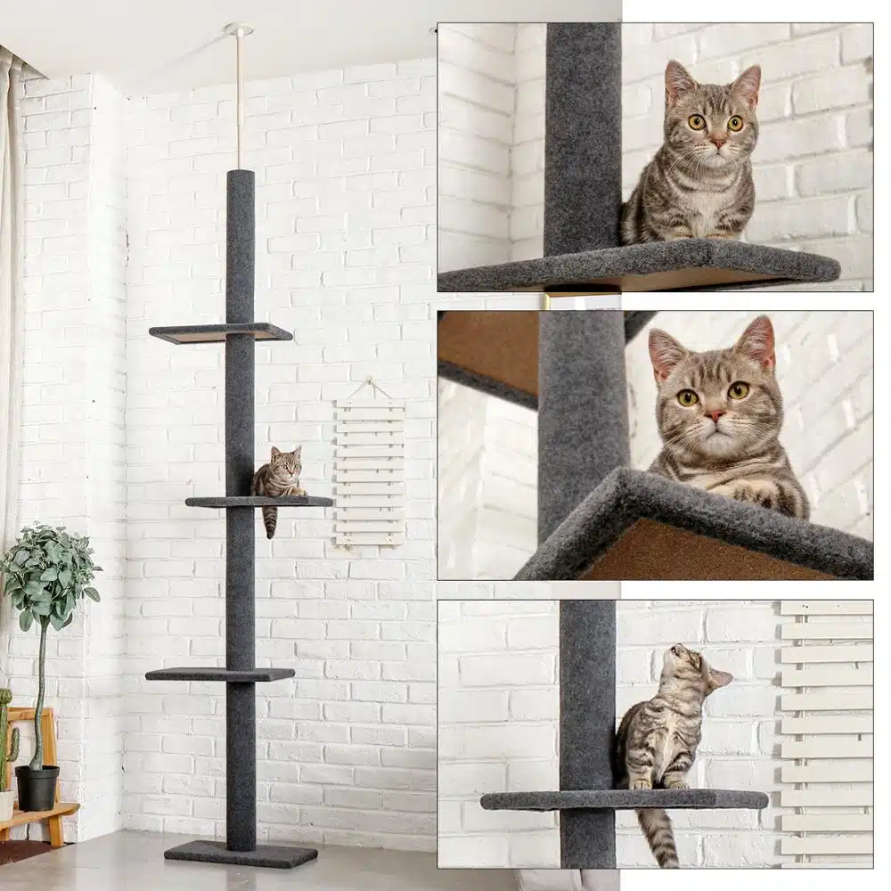 Cadre d'escalade réglable pour chat, haute qualité dans une maison
