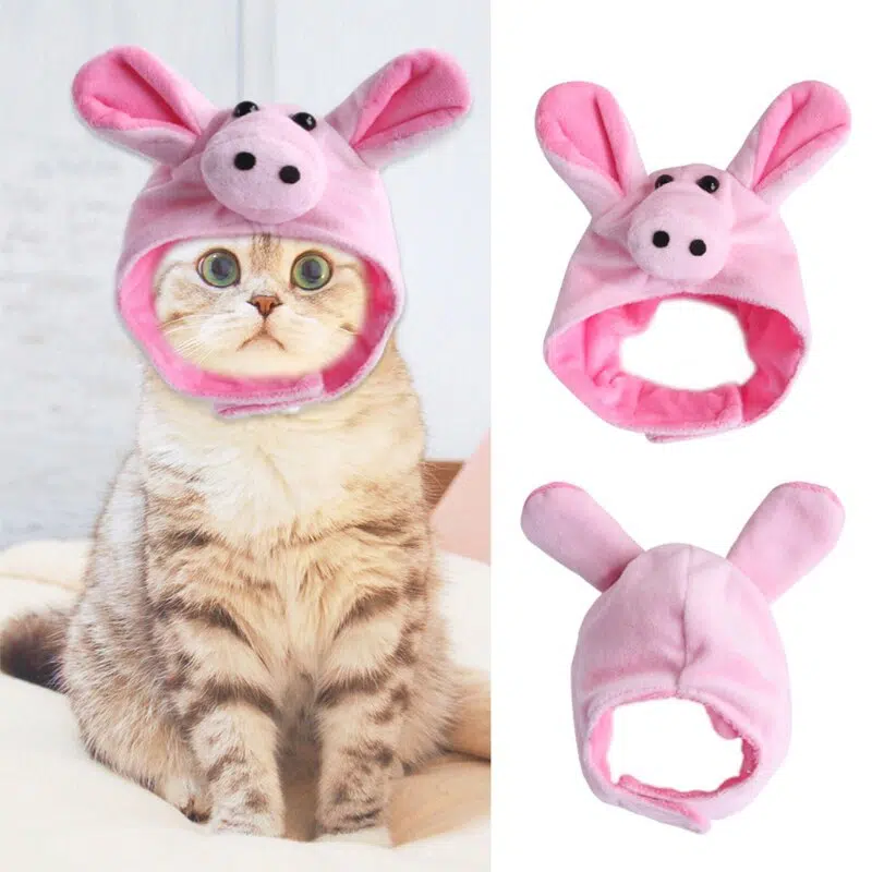 Chapeau amusant en forme cochon pour chat rose porté par un chat, super qualité