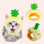 Chapeau en forme de fruit pour chat à la mode porté par un chat