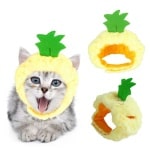 Chapeau en forme de fruit pour chat à la mode porté par un chat