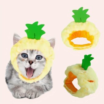 Chapeau en forme de fruit pour chat à la mode porté par un chat