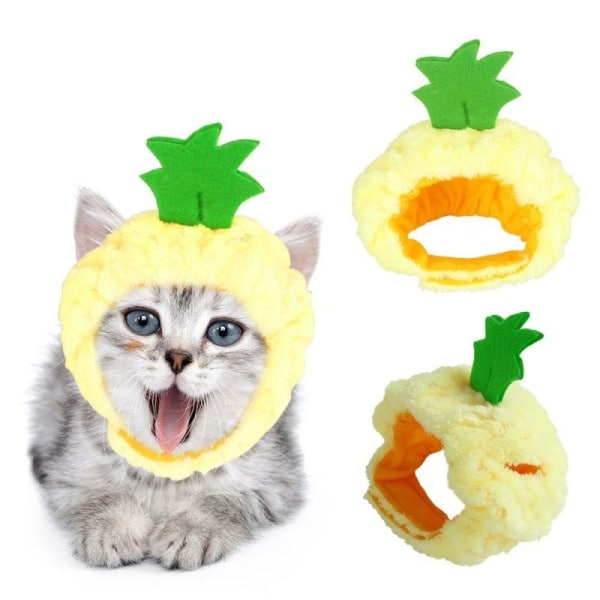 Chapeau en forme de fruit pour chat à la mode porté par un chat