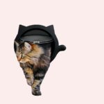 Chatière en forme de tête de chat noir