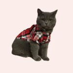 Chemise à carreaux pour chat noir, rouge et blanc porté par un chat sur un canapé
