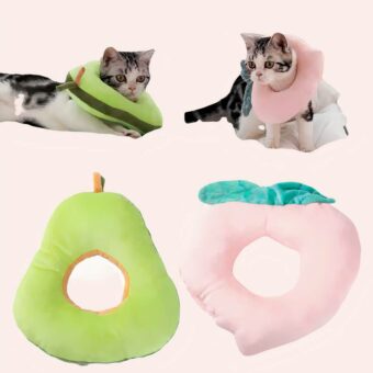 Collerette chat en forme de fruit, confortable et très haute qualité, porté par un chat sur un lit dans une maison