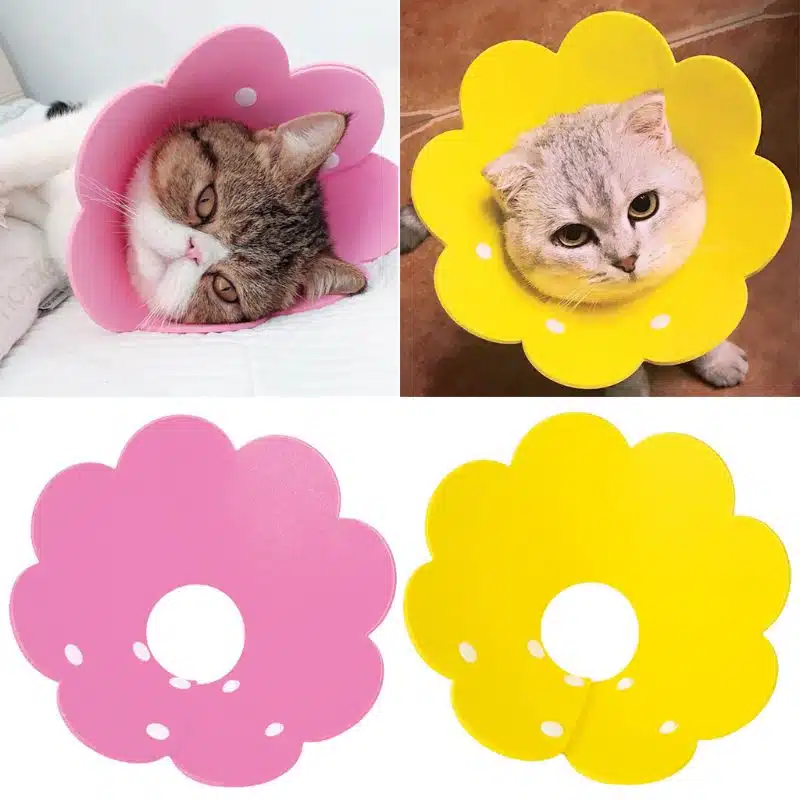 Collerette en forme de fleur pour chat à plusieurs couleurs