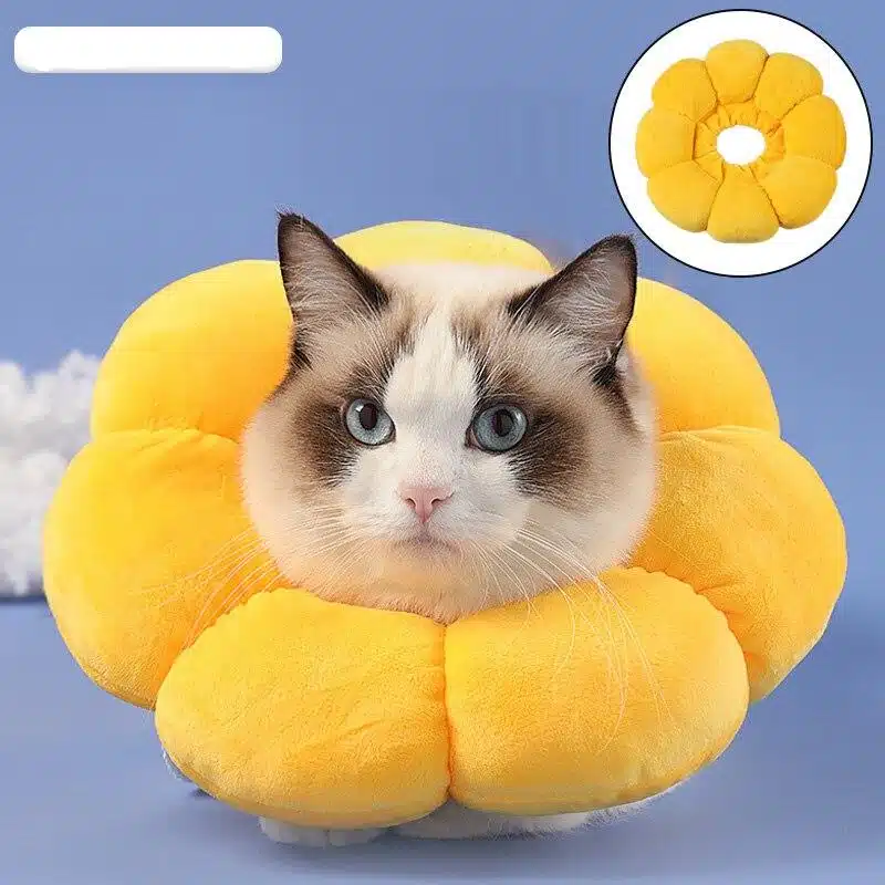 Colerette en coussin pour chat. Elle est en forme de Tullipe jaune.