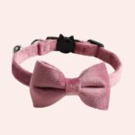 Collier à noeud papillon en velours pour chat rose très mignonne