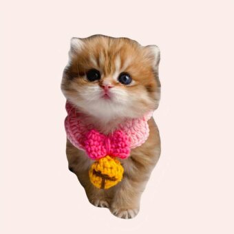 Collier en laine crocheté avec boule pour chat très mignonne porté par un chat sur un tapis dans une maison