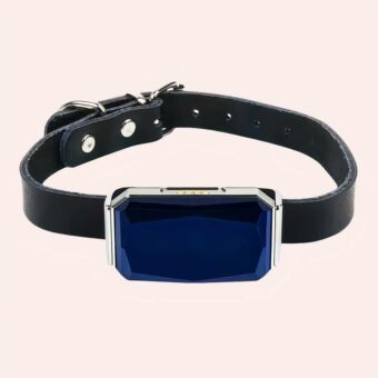 Collier étanche avec WiFi, GSM et GPS pour chat, bonne qualité et à la mode