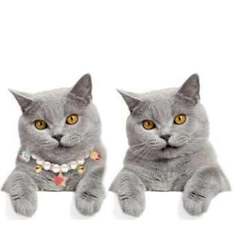 Collier perle avec pendentif dessin animé pour chat adorable porté par un chat
