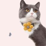 Collier pour chat à motif fleur avec cloche porté par un chat, plusieurs couleurs