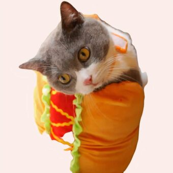 Costume chat amusant en forme de sandwich confortable porté par un chat sur un tapis